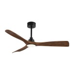 Ventilador de techo CARLA L color negro y palas de madera oscura con luz - SULION 2200583